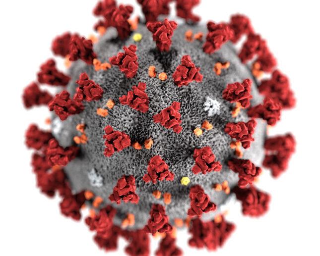 covid virus molecule